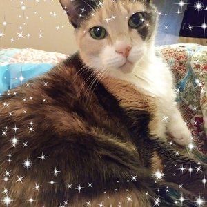 Meet your Posher, Linda